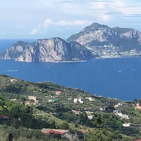 Resort Ferrara Villa Multa Quies Massa Lubrense Luaran gambar